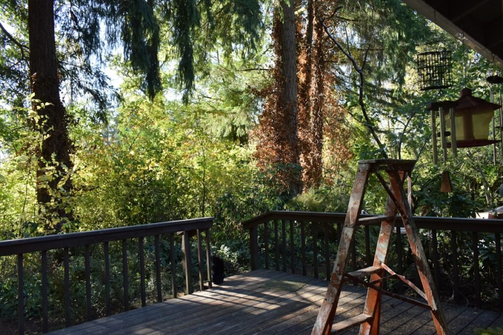 Atlanta Deck Builders Alpharetta GA